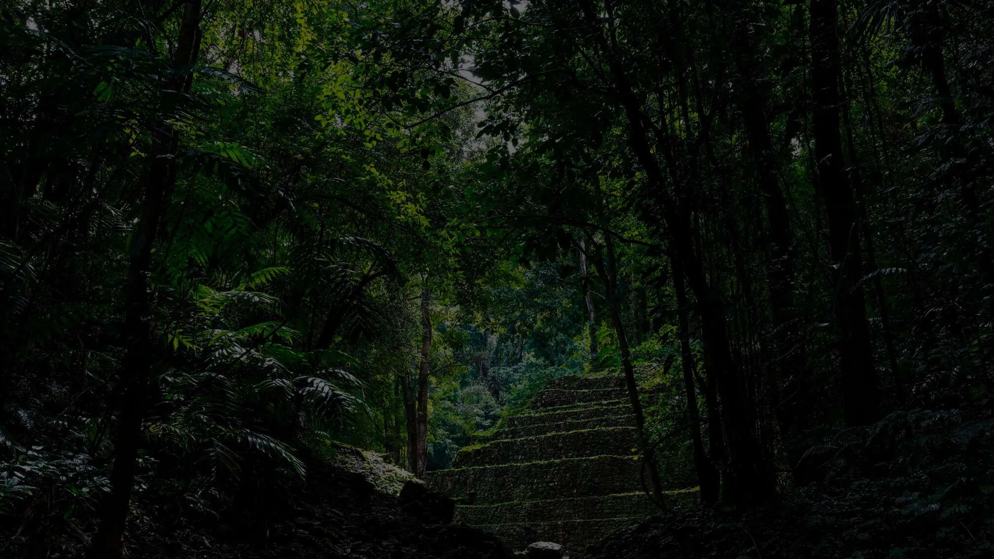 Corazón Jaguar, paisaje